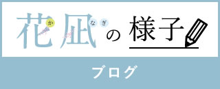 ブログ（花凪の様子）